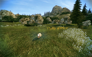 GM엘스피 등장 장소